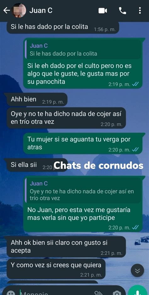 chat cornudo|Chat de Cornudos Liberales gratis .